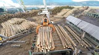 Logs to Lumber  An aerial journey through the sawmill [upl. by Initof192]