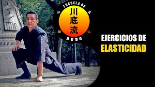 Ejercicios de ELASTICIDAD para Artes Marciales [upl. by Eikcim114]