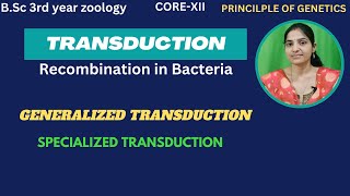 Transduction In Bacteria BSc 3rd YearGeneralized and Specialized TransductionRecombination [upl. by Enisamoht118]