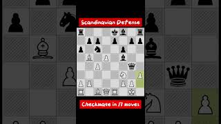 Scandinavian Defense Checkmate in 17 Moves chess [upl. by Ellehcor]