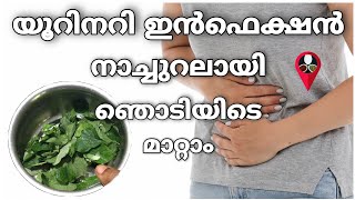 Home remedies for urinary tract infection in malayalam  UTI natural treatment  Prs kitchen tips [upl. by Ecinaj796]