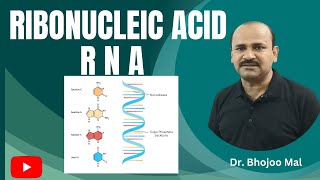 RNA  by Dr Bhojoo Mal [upl. by Essy]