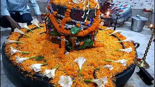 sagardighi chandanbari Shiv Mandir 🥰🥰 2024 October [upl. by Aihsetan]