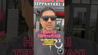 PART  23  HIBACHI TEPPANYAKI FOOD REVIEW [upl. by Nerrat]