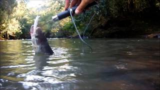 Pescando Tabarana no São José Votuporanga Pescaria [upl. by Hanej]