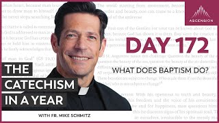 Day 172 What Does Baptism Do — The Catechism in a Year with Fr Mike Schmitz [upl. by Lenzi]