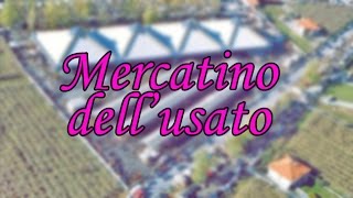 VLOG Mercatino dellusato e piccolo aniquariato di Borgo dAle [upl. by Erlin979]