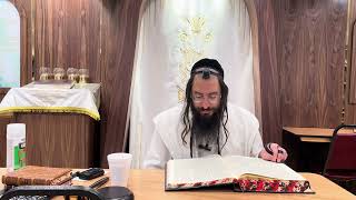 Bava Basra 111b112 Harav Chaim Ozer Geldzahler [upl. by Ethelin]