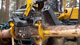 🌳Biggest Forest Machines Diffrent Harvester heads Ponsse Scorpion King Logging amp Sawmilling [upl. by Ferguson]