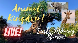 🔴LIVE Disney’s Animal Kingdom  Disney World Livestream  982024 [upl. by Buroker290]