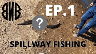 SPILLWAY FISHING Rend Lake Ep 1 [upl. by Nessy]