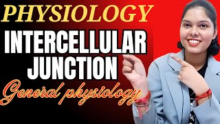 intercellular junctions  general Physiology  important topics of general Physiology physiology [upl. by Gelman]