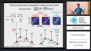 Distinct Timescales of Population Coding Across Cortex [upl. by Eronaele733]