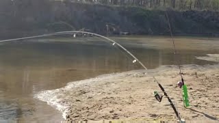 GUARD DOG PRO AUTOMATIC FISH HOOKER Review CatClawz Rod Holder Review Links Below 10OFF DINK10 [upl. by Ztnahc]