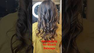 No Bleach Balayage Haircolor shorts balayage blondehair hair trending viralvideo [upl. by Ettigirb]