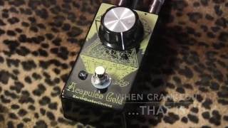 Earthquaker Devices ACAPULCO GOLD classic Sunn Model T Distortion [upl. by Nunciata332]