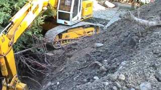 VIDEO  2 Hecke ausgraben Teil 2  Hedge digging Part 2 [upl. by Volny]