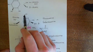 Antithrombin 3 and Heparin Part 7 [upl. by Neit581]