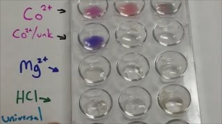 Qual Lab  Bicarbonate Carbonate Hydroxide Test [upl. by Missie612]