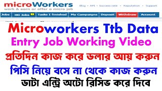 Ttb Data Entry Microworkers Job  Daily Income 510 Best Earnings Job [upl. by Einneb]