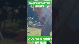 Decode Your Dogs Tail Language doglover dog dogs [upl. by Negah853]