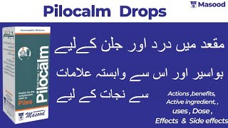 Masood Pilocalm Drops Homeopathic medicine benefits  Masood Pilocalm drops for piles [upl. by Eiryk]