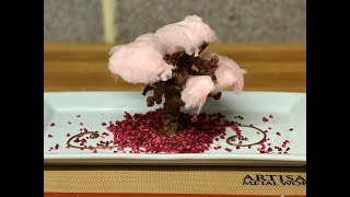 Chocolate Tree Dessert [upl. by Nywroc]