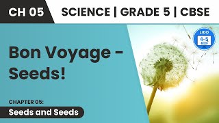 Dispersal of Seeds  Seeds And Seeds  Class 5 Science Chapter 5 [upl. by Zertnom]