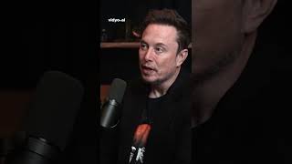 Elon Musk on Israel vs Palestine War  Lex Fridman [upl. by Niwde]