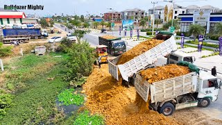 Operator Skills Bulldozer Working Dump truck unloading Processing Filling Up The Land [upl. by Brig]