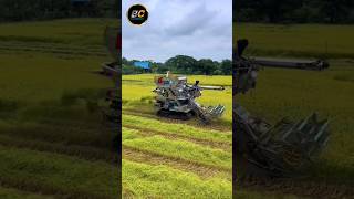 thailand harvester shorts harvester agriculture [upl. by Fezoj165]