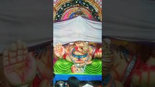 Naidupeta 2024 pillari temple street Ganesh 2024 [upl. by Yentruok]