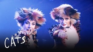 Macavity the Mystery Cat Part 1  Cats the Musical [upl. by Suzan]