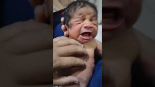 Newborn Babies cutebaby adoreable cuteshortvideo [upl. by Koerner117]