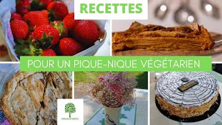 3 RECETTES pour un PIQUENIQUE VÉGÉTARIEN  LUNDI VERT n°229 [upl. by Raouf]