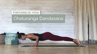 Chaturanga Dandasana postura del bastón con cuatro apoyos [upl. by Anaira185]