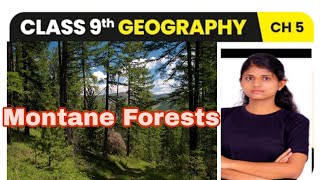 Montane Forests Natural vegetation and wildlife Ncert class 9 Geography chapter 5 [upl. by Animor]