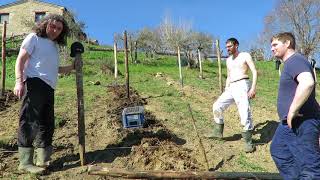 Setting up an Eco friendly vineyard in Le Marche Italy Irish style [upl. by Hardi824]