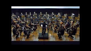 ORCHESTRA HYMNS BELÍSSIMA INTERPRETAÇÃO DOS HINOS CCB VOL 01 [upl. by Guidotti]