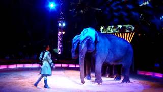 Cirkus Merano Fredrikstad 2mars 2014 7 [upl. by Lemak]