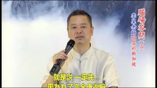 腦場答問三 ——李杲老師 主講 腦場身心靈與答問2014及2015年 [upl. by Dosh]