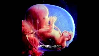 MoTrip  Embryo [upl. by Talbert]