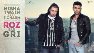 Misha Twain feat FCharm  Roz sau gri cu versuri [upl. by Dric]