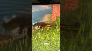 Planet zoo reptiles and amphibians 1 planetzoo [upl. by Eseilanna]