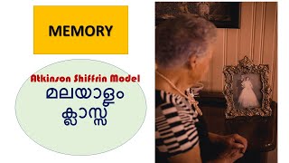 Memory Atkinson Shiffrin Model [upl. by Llecrup]