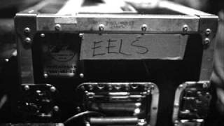 Eels · A Most Unpleasant Man live [upl. by Orin133]