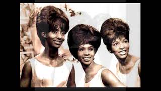 Weve Got Honey Love MARVELETTES Video Steven Bogarat [upl. by Anibur484]