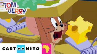 Funniest Moments  The Tom and Jerry Show  CartoonitoAfrica [upl. by Marcello]