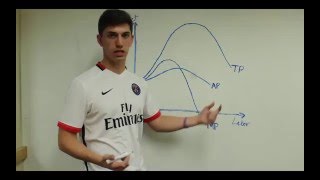 Charting Total Product Marginal Product and Average Product VERY IMPORTANT TUTORIAL [upl. by Ecienal455]