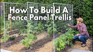 How to Build a Fence Panel Trellis  Cattle Panel Hog Wire etc [upl. by Odnuges]